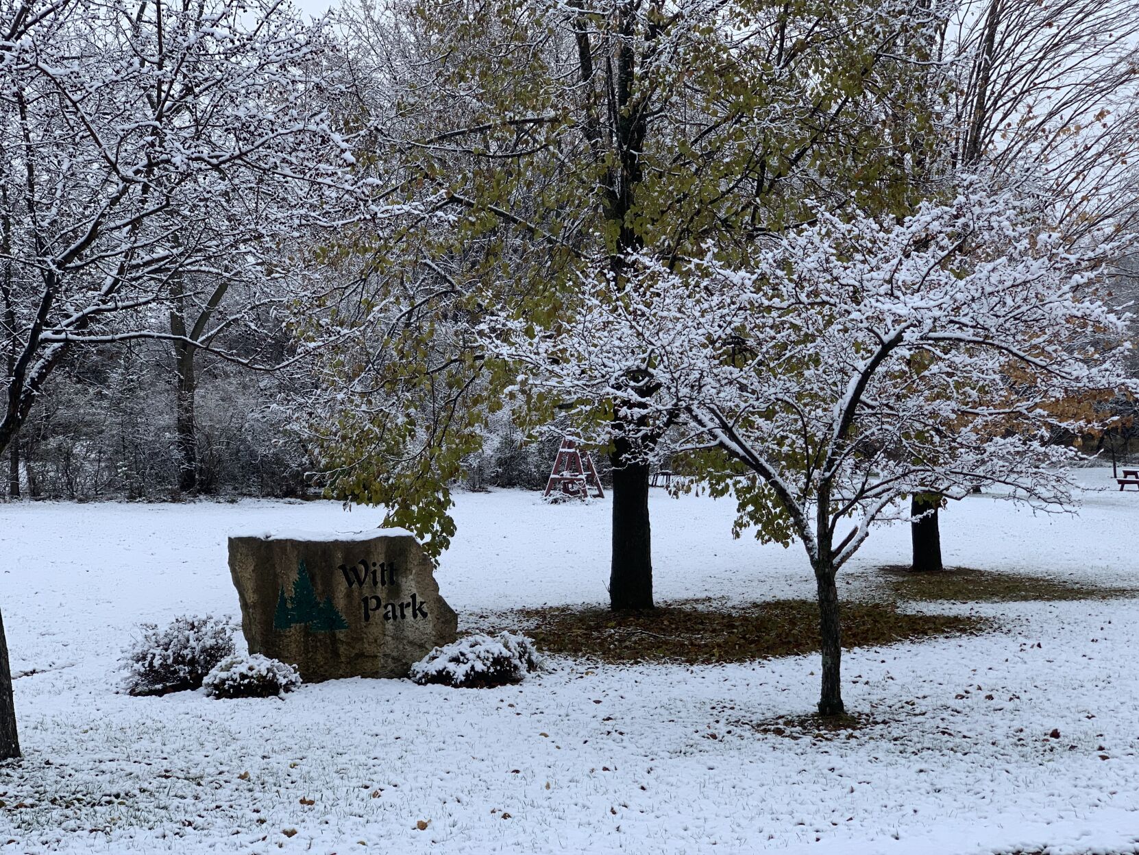 First Snow.jpg